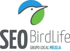 logo SEO Melilla