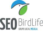 logo SEO Melilla